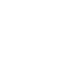 Desenvolvimento e Fortalecimento da Cultura Organizacional
