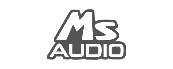 ms_audio