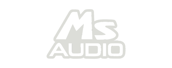 ms_audio